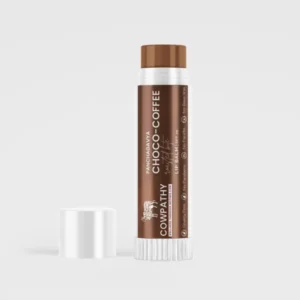 PanchaGavya Choco Coffee Lip Balm (5gm) Pack of 5